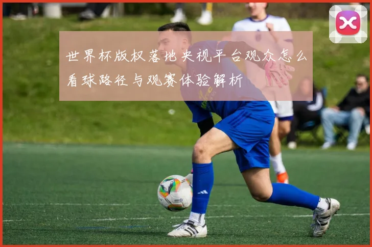 世界杯版权落地央视平台观众怎么看球路径与观赛体验解析