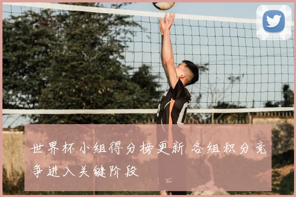 世界杯小组得分榜更新 各组积分竞争进入关键阶段