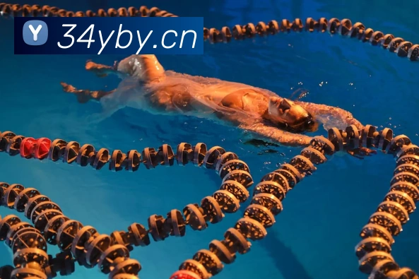 emc易倍官网入口发展历程